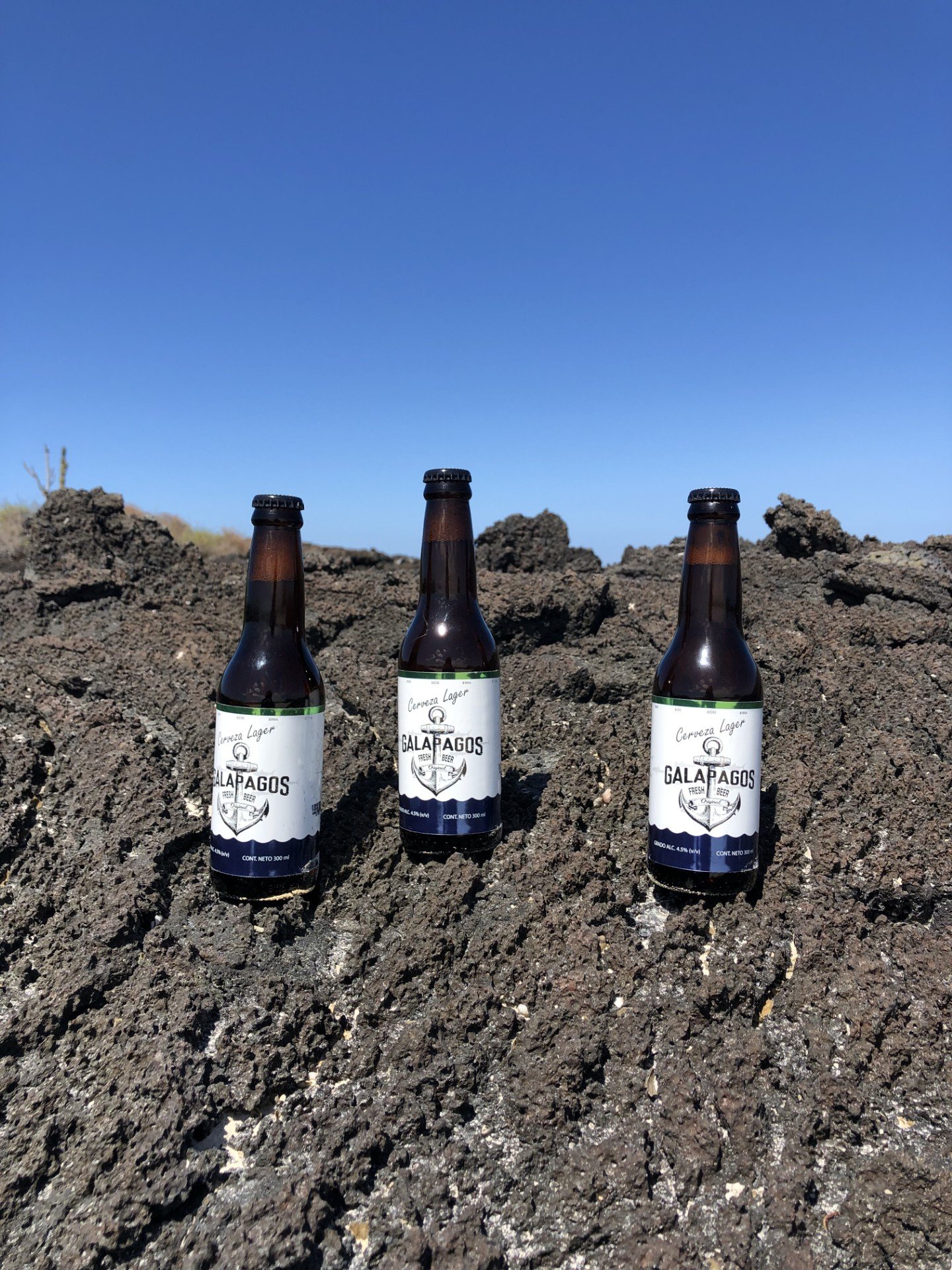 Galapagos Lager: Your adventure PARTNER